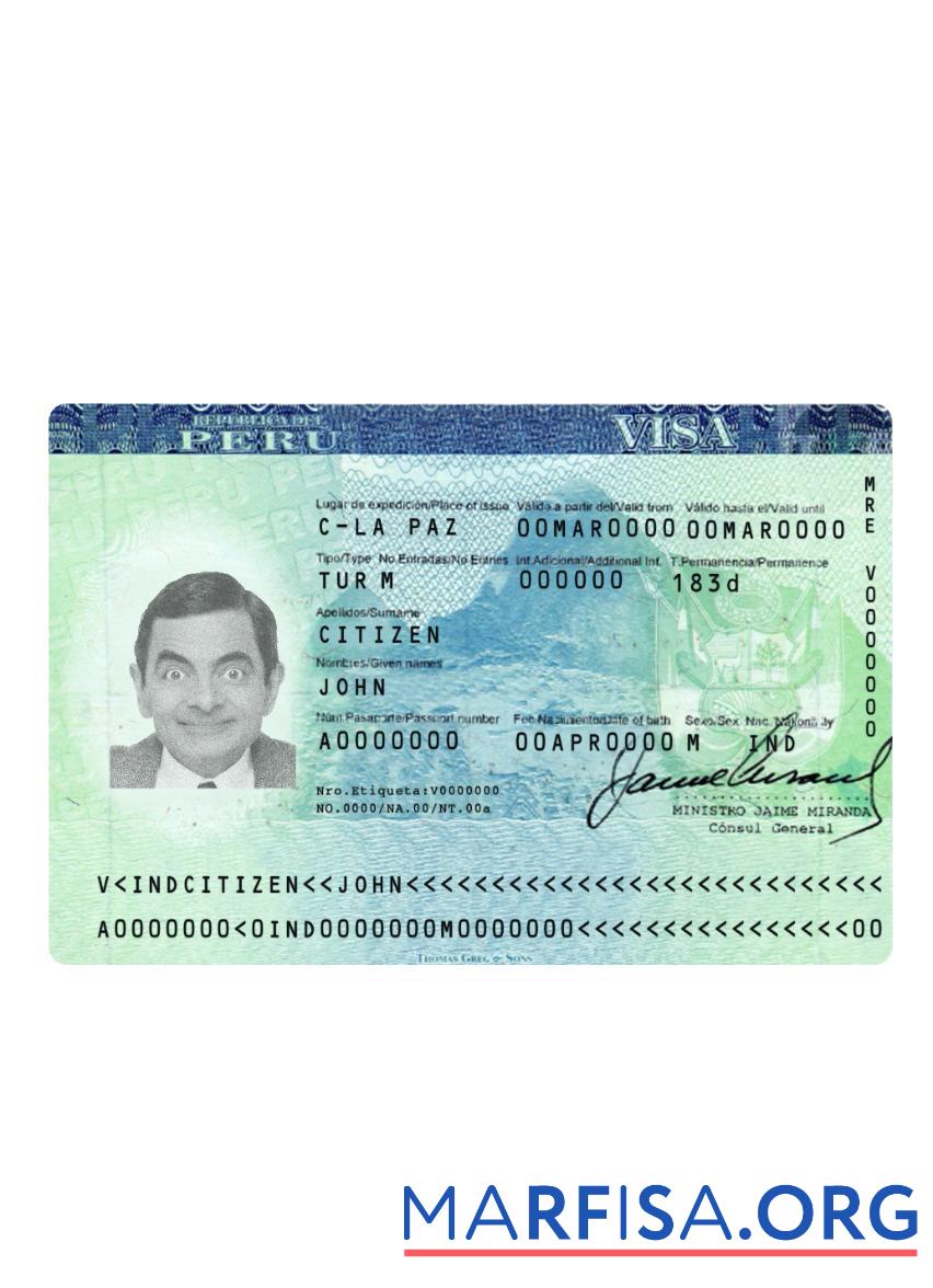 Blank Peru tourist visa template